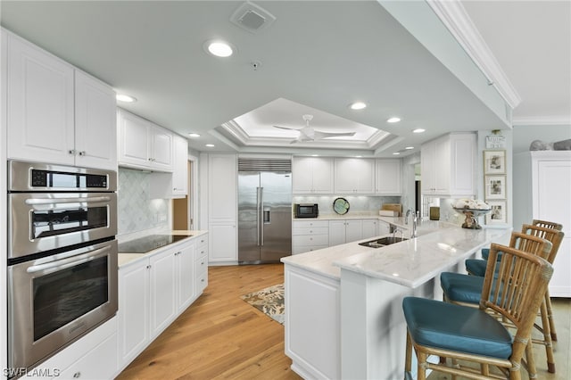 kitchen featuring ceiling fan, tasteful backsplash, appliances with stainless steel finishes, crown molding, and a tray ceiling