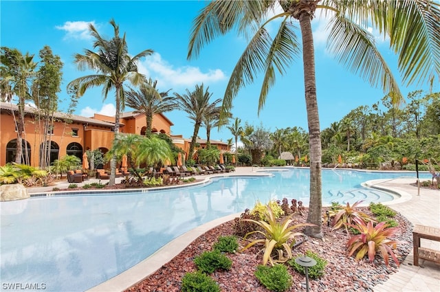 view of pool featuring a patio