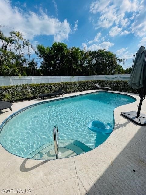 view of swimming pool featuring a patio