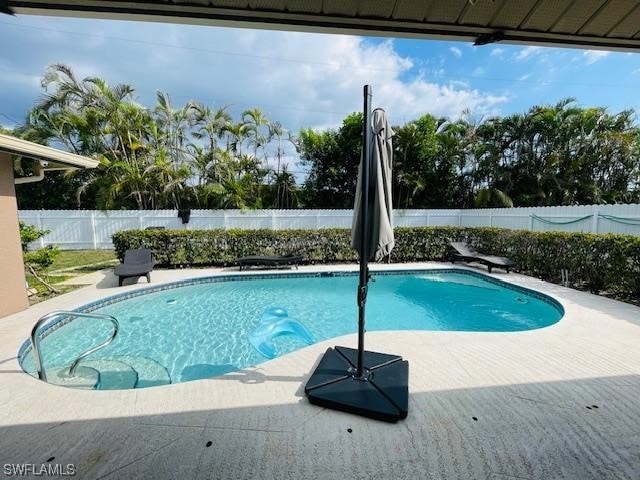 view of pool featuring a patio