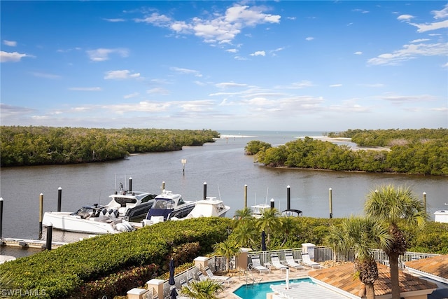 dock area with a community pool and a water view