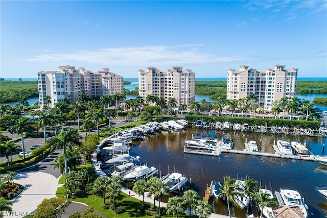 aerial view with a water view