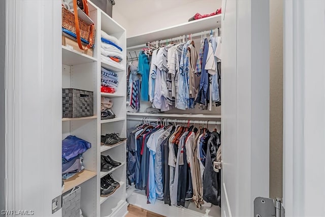 view of spacious closet