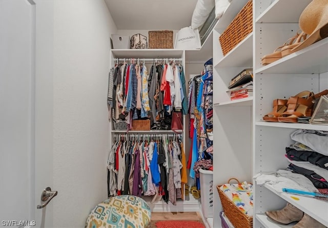 spacious closet featuring wood-type flooring