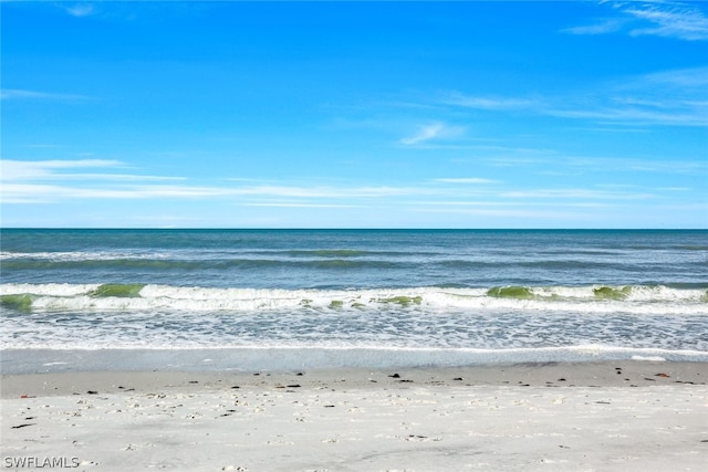 view of water feature featuring a view of the beach