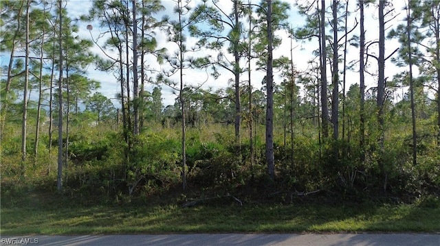 12157 Terkelsen Ave, Port Charlotte FL, 33981 land for sale