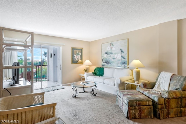 carpeted living room with a textured ceiling