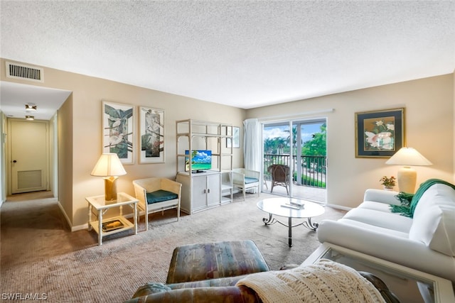 carpeted living room with a textured ceiling