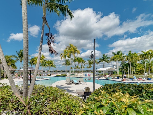 view of pool featuring a patio