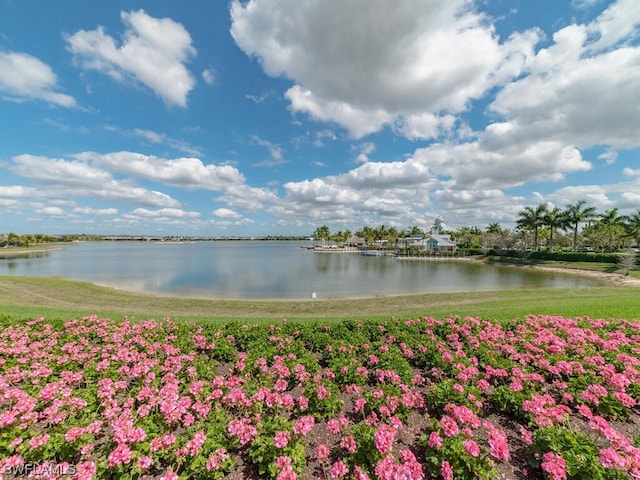 view of water feature