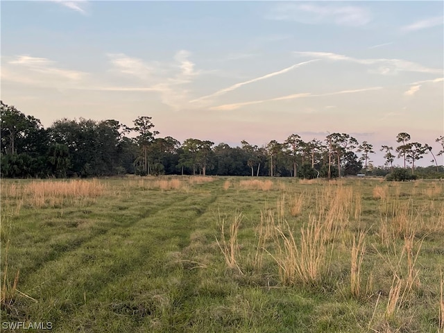 Listing photo 3 for W State Rd 80, Labelle FL 33935