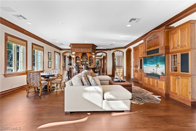 living room featuring crown molding and dark wood-type flooring