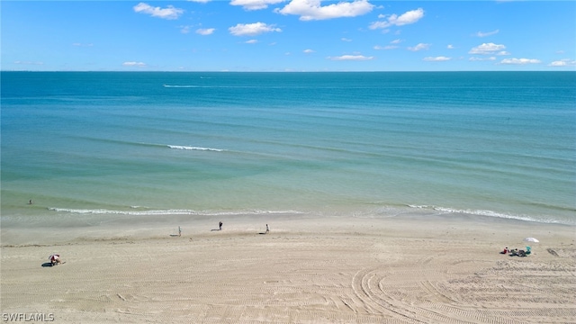 property view of water featuring a beach view