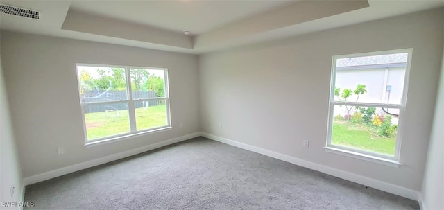 empty room featuring a wealth of natural light, a raised ceiling, and carpet flooring