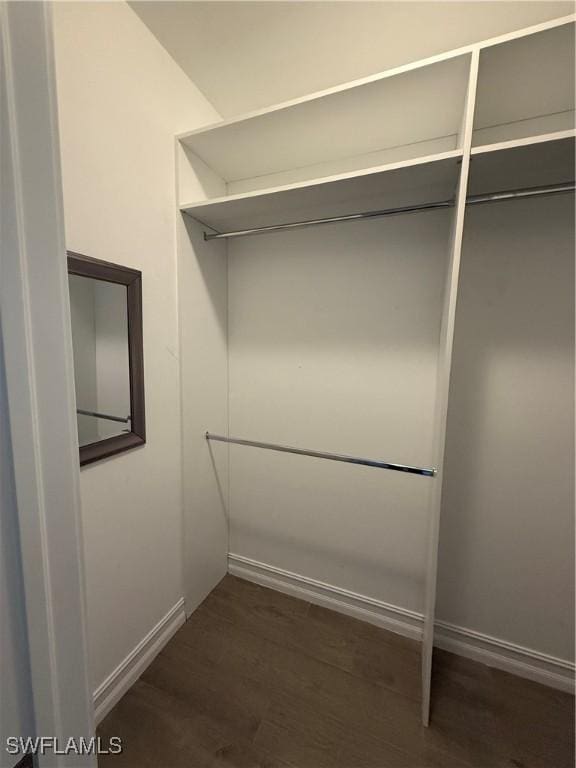 walk in closet with dark wood-type flooring