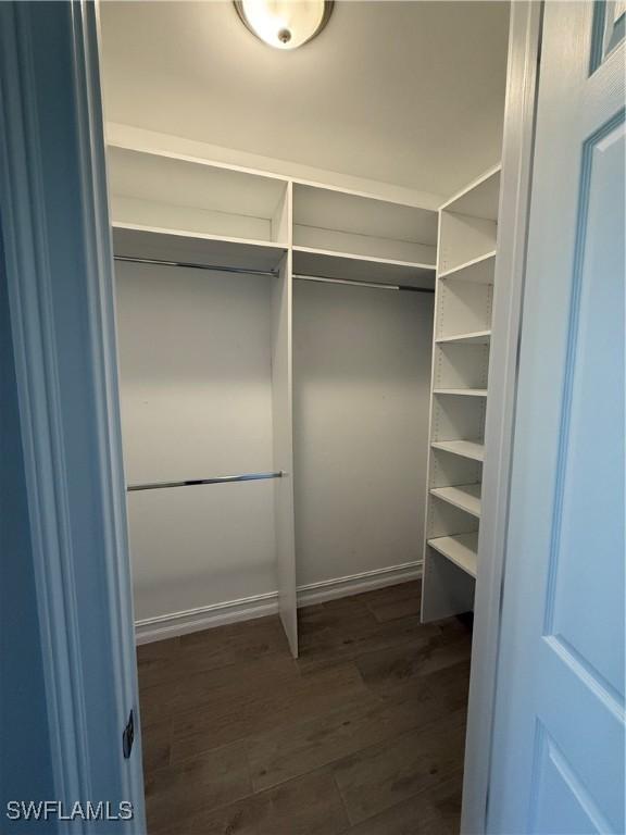 walk in closet with dark hardwood / wood-style floors