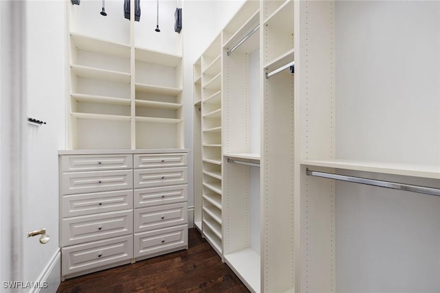 walk in closet with dark wood-type flooring