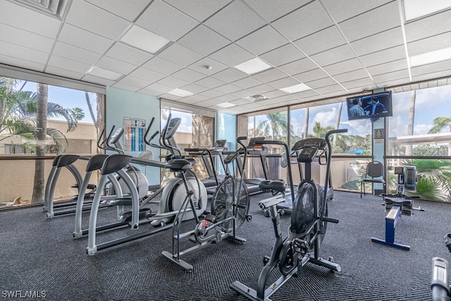 gym featuring a wall of windows, dark carpet, and a drop ceiling