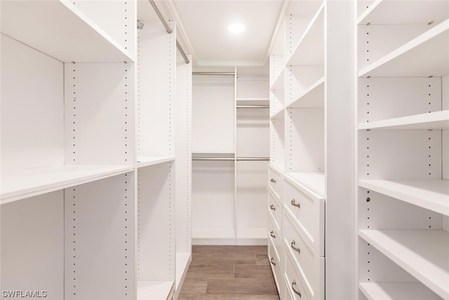 spacious closet with hardwood / wood-style flooring