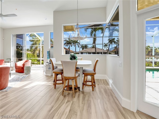 dining area with light hardwood / wood-style floors and ceiling fan