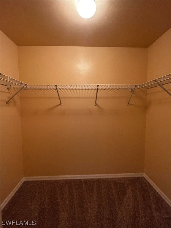 walk in closet with carpet flooring