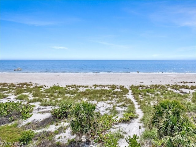 water view featuring a beach view