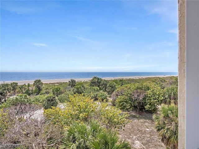 property view of water featuring a beach view