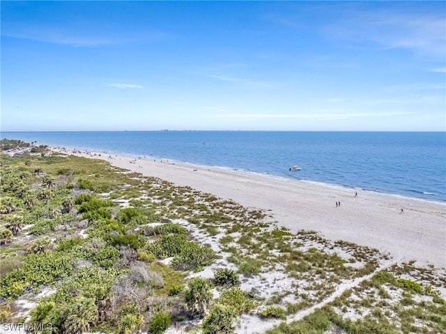 view of water feature featuring a beach view