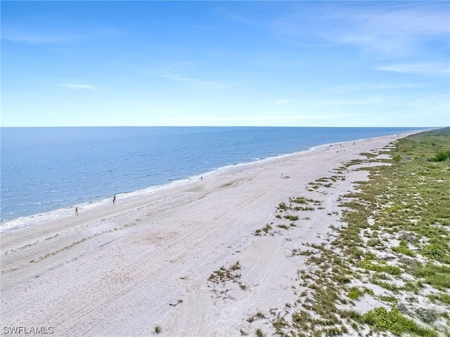 water view featuring a beach view