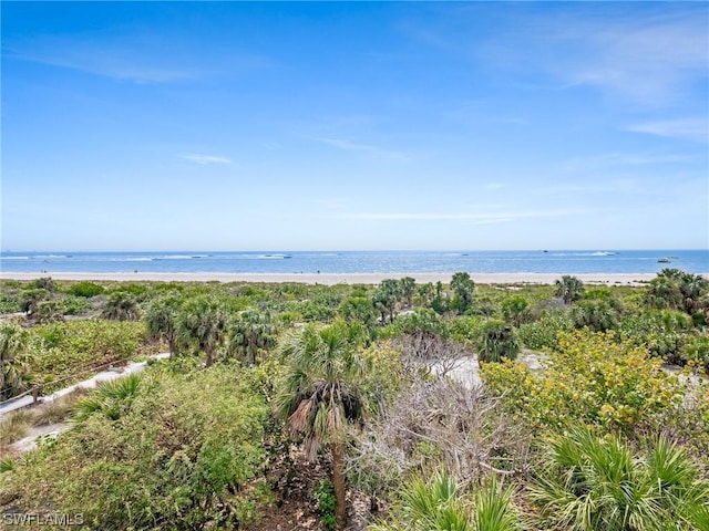 water view with a beach view