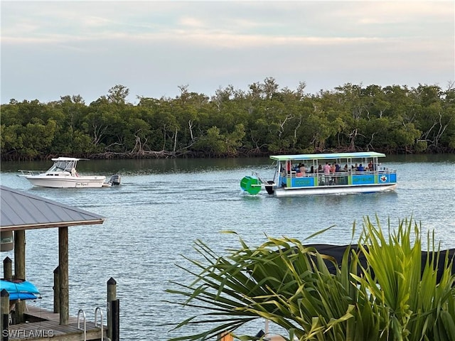 dock area with a water view