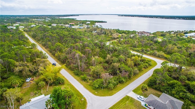 12253 Endicott Ln, Port Charlotte FL, 33953 land for sale