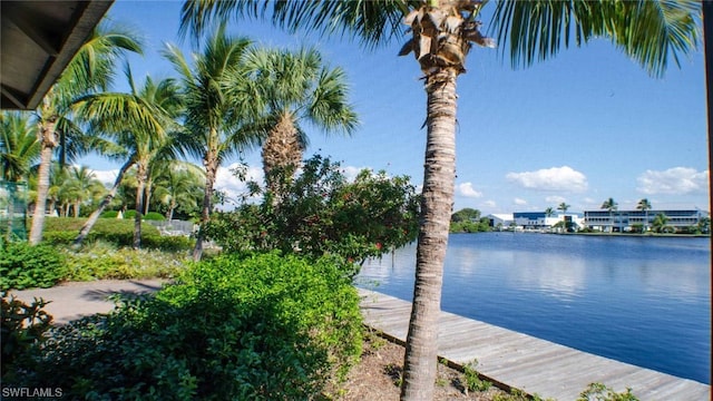 water view with a boat dock