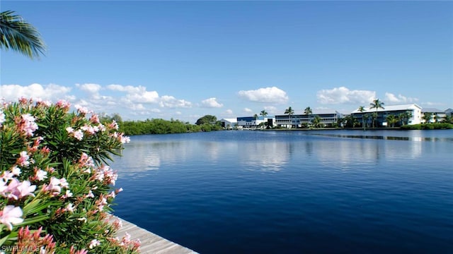 view of property view of water