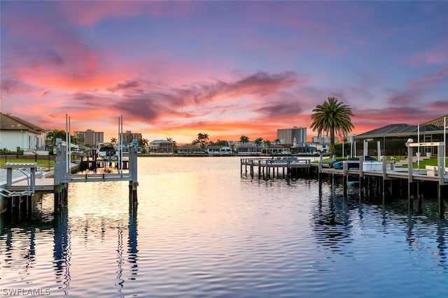 dock area with a water view