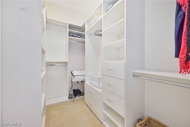 spacious closet featuring light colored carpet