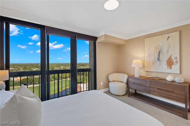 carpeted bedroom with ornamental molding and access to exterior