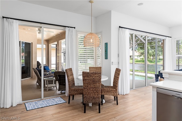 dining area with ceiling fan and light wood-type flooring