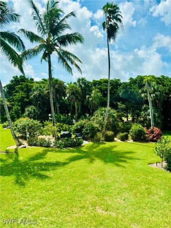 view of property's community featuring a lawn