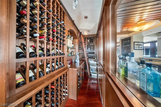 wine room featuring dark hardwood / wood-style flooring