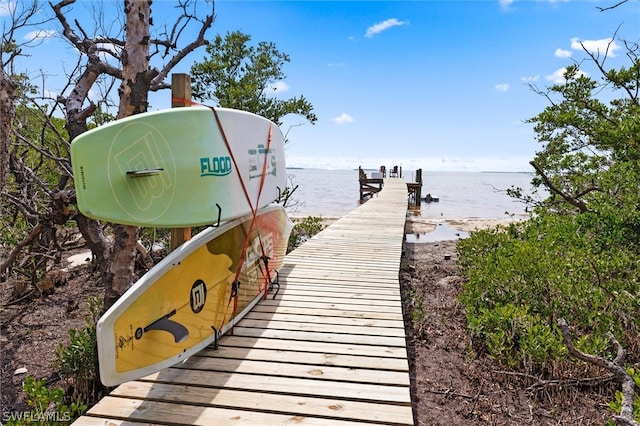 dock area featuring a water view