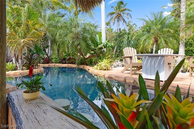 view of pool with a patio