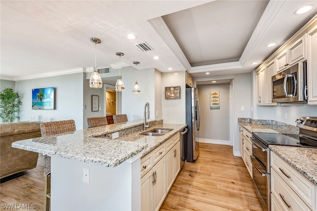 kitchen with light hardwood / wood-style floors, a breakfast bar, appliances with stainless steel finishes, a tray ceiling, and sink