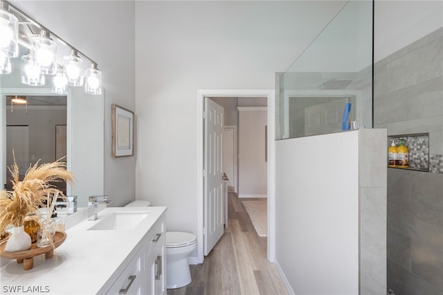 bathroom featuring vanity, hardwood / wood-style flooring, and toilet