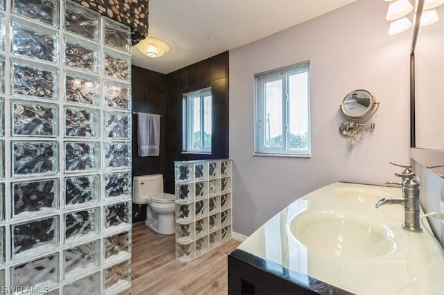 bathroom with vanity, toilet, wood-type flooring, and walk in shower