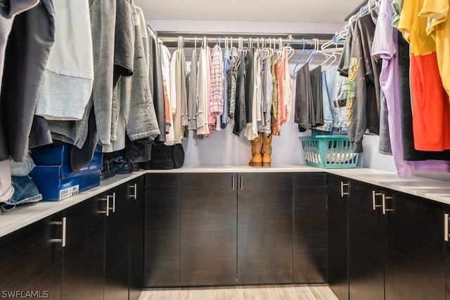 spacious closet with light wood-type flooring