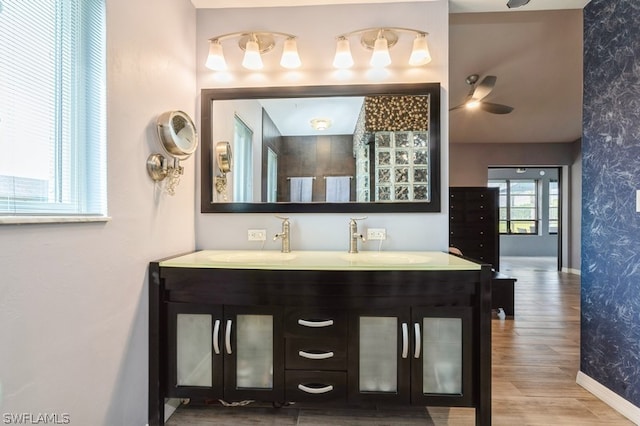 bathroom with vanity and wood-type flooring