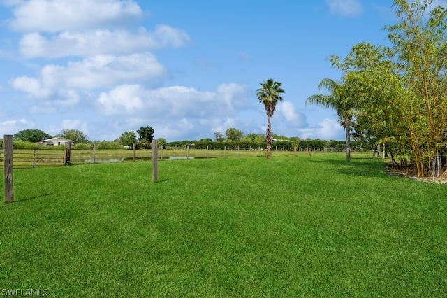 view of yard with a rural view