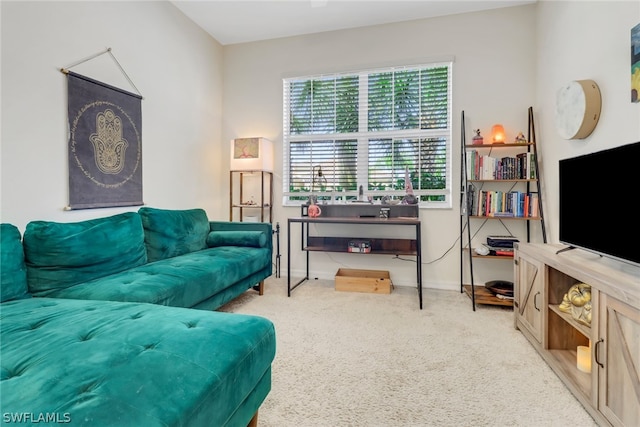 view of carpeted living room