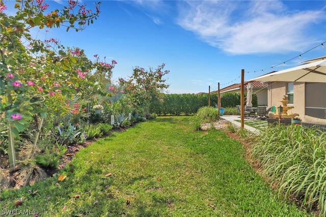 view of yard featuring a patio area